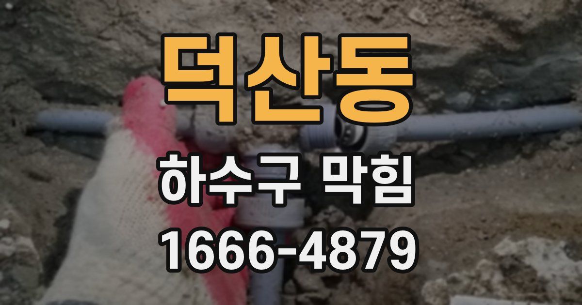 덕산동 하수구 막힘