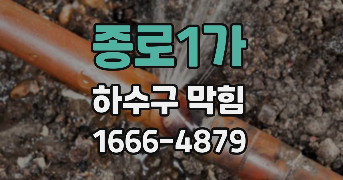 종로1가 하수구 막힘