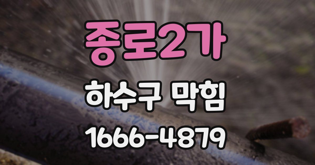 종로2가 하수구 막힘