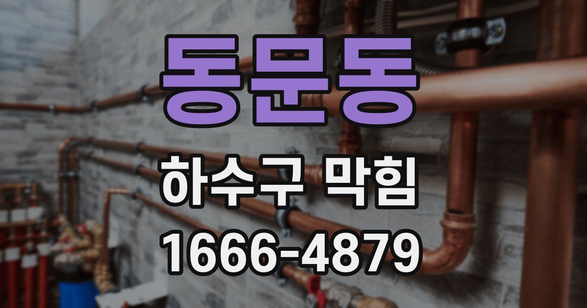 동문동 하수구 막힘