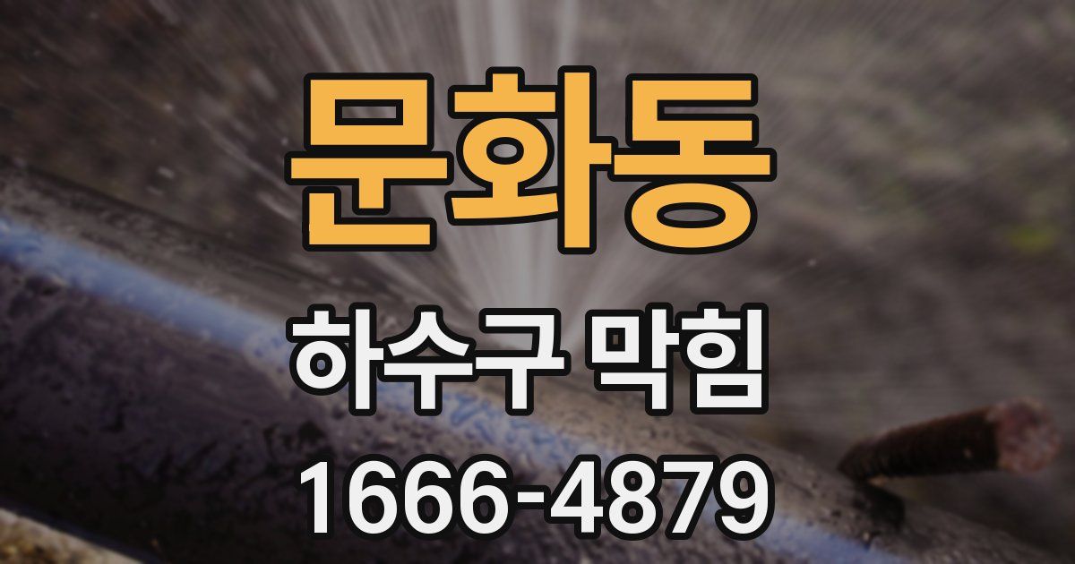 문화동 하수구 막힘