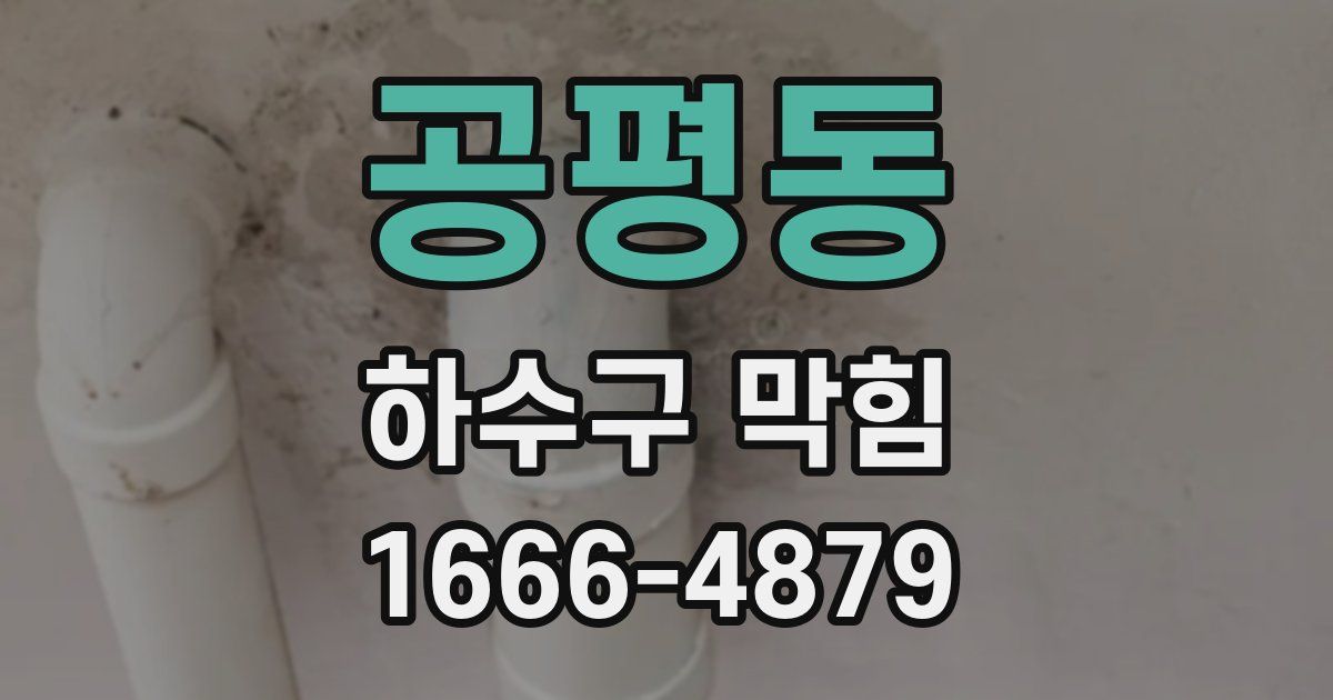 공평동 하수구 막힘