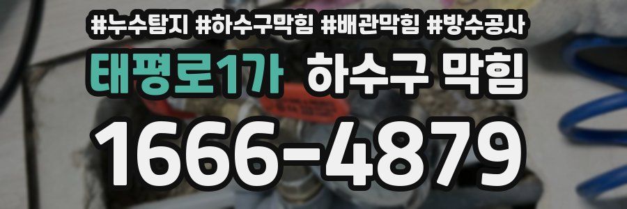 태평로1가 하수구 막힘