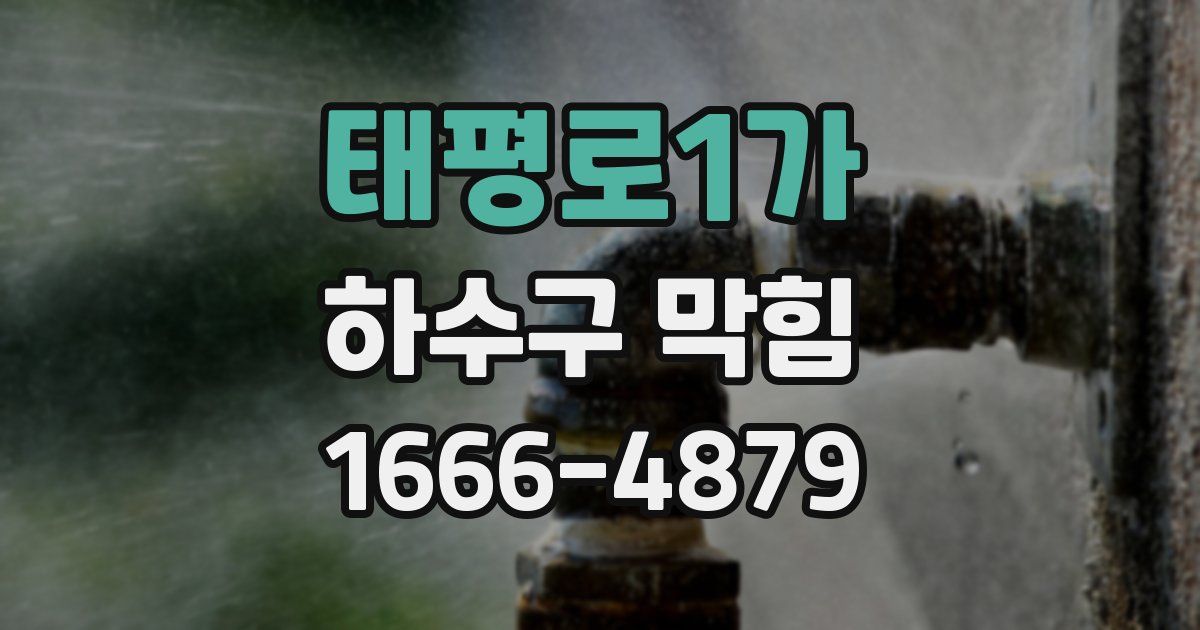 태평로1가 하수구 막힘