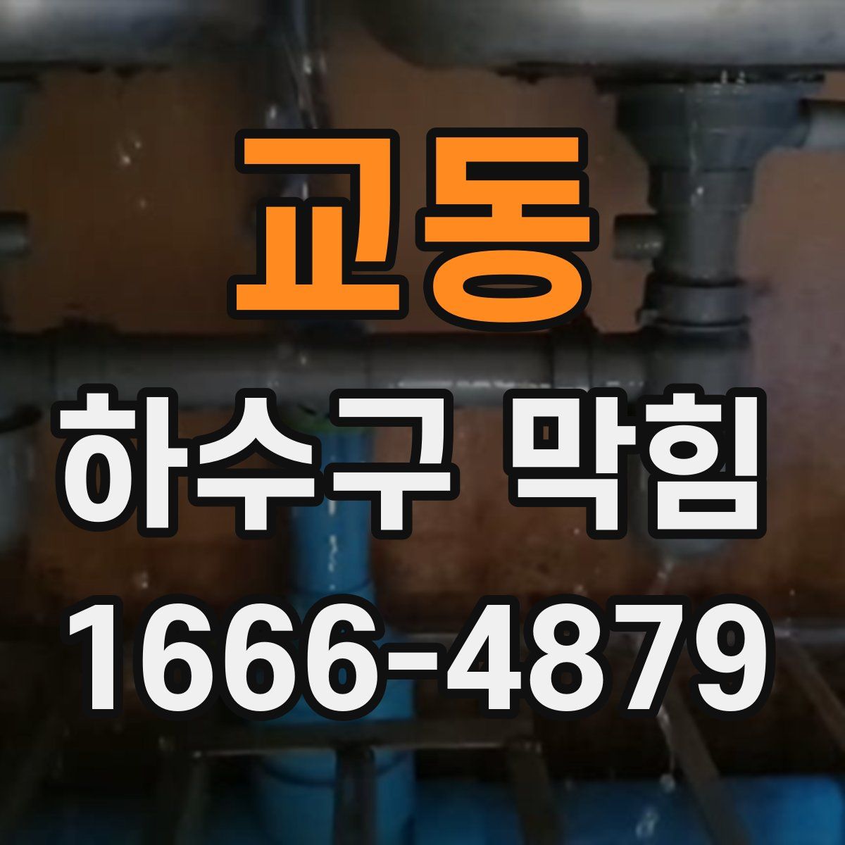 교동 하수구 막힘