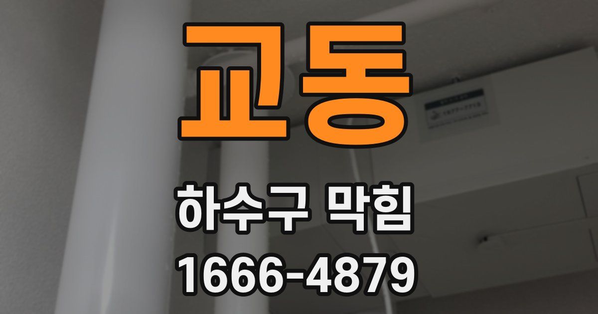 교동 하수구 막힘