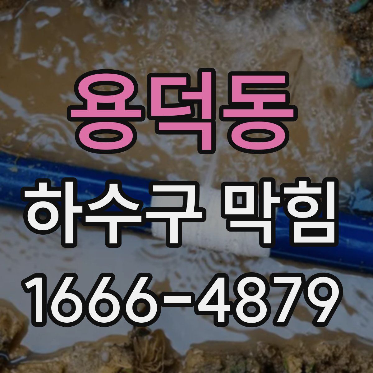 용덕동 하수구 막힘