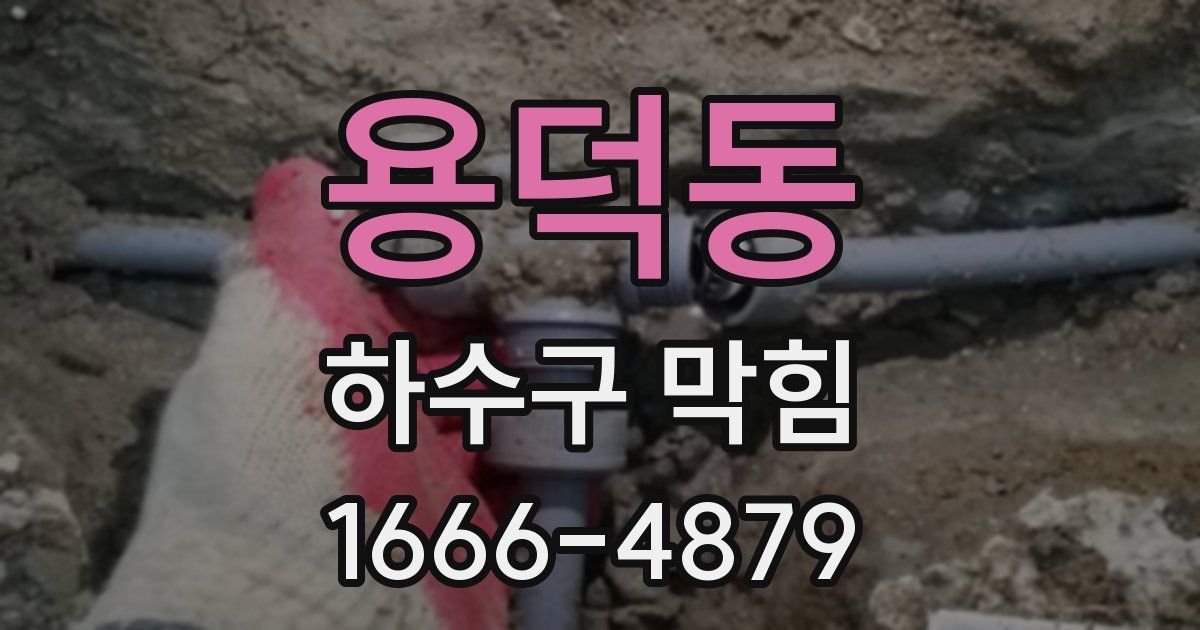 용덕동 하수구 막힘