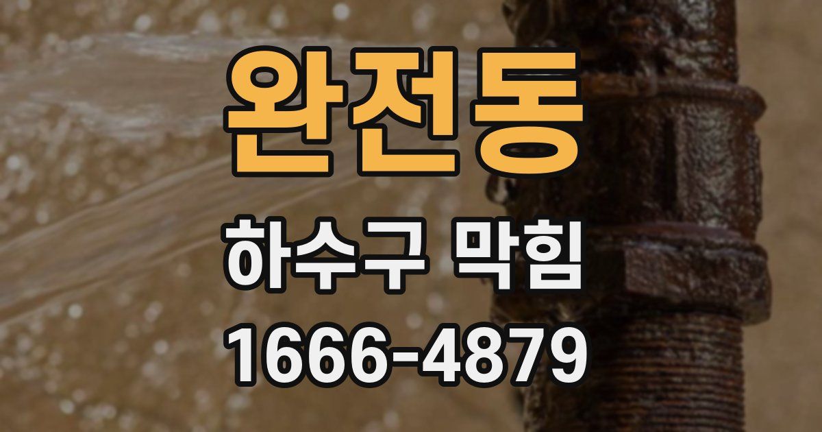 완전동 하수구 막힘