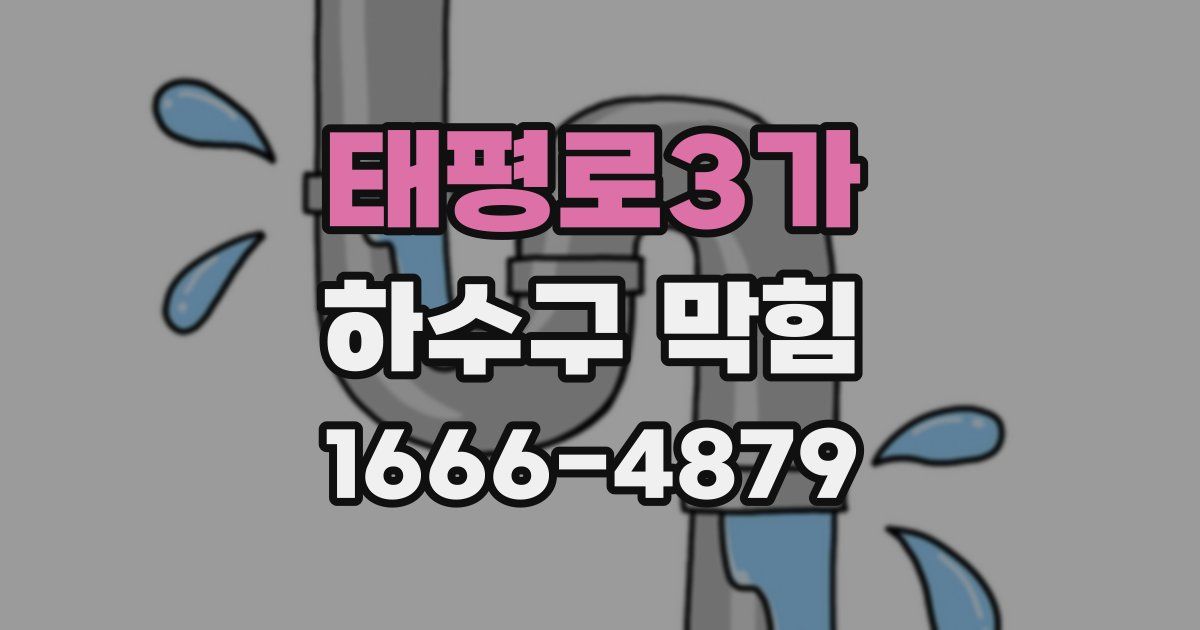 태평로3가 하수구 막힘