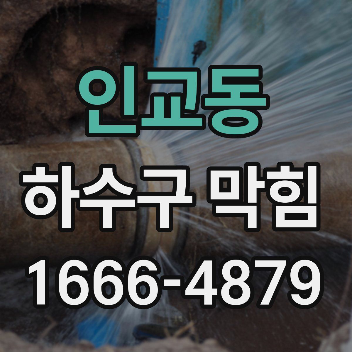 인교동 하수구 막힘