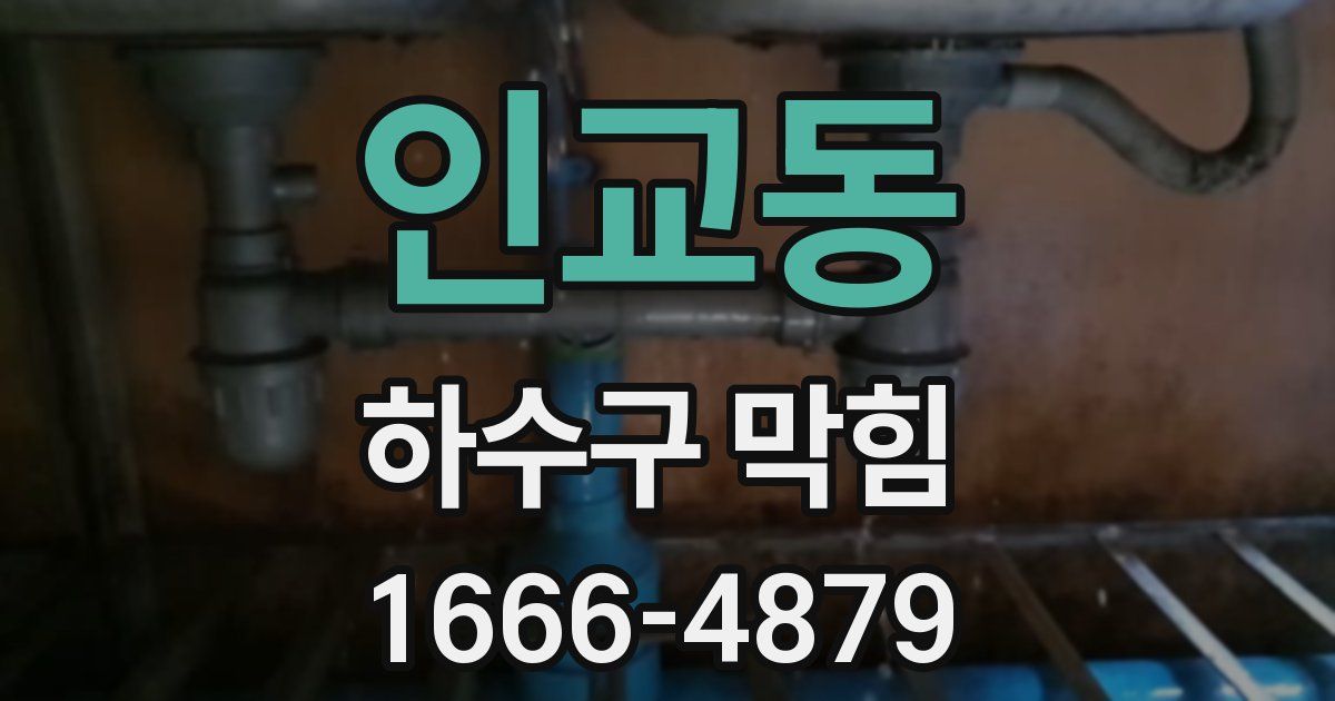 인교동 하수구 막힘