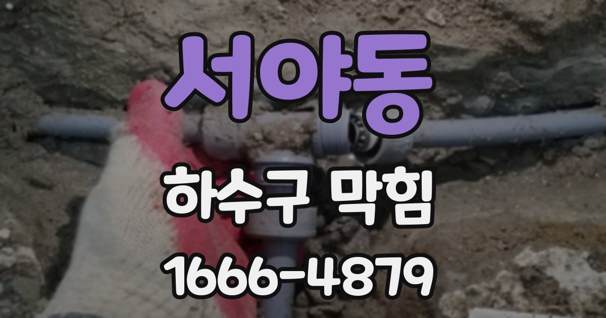 서야동 하수구 막힘