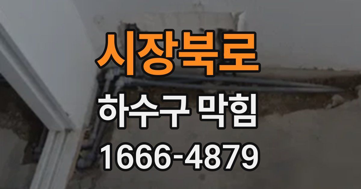 시장북로 하수구 막힘