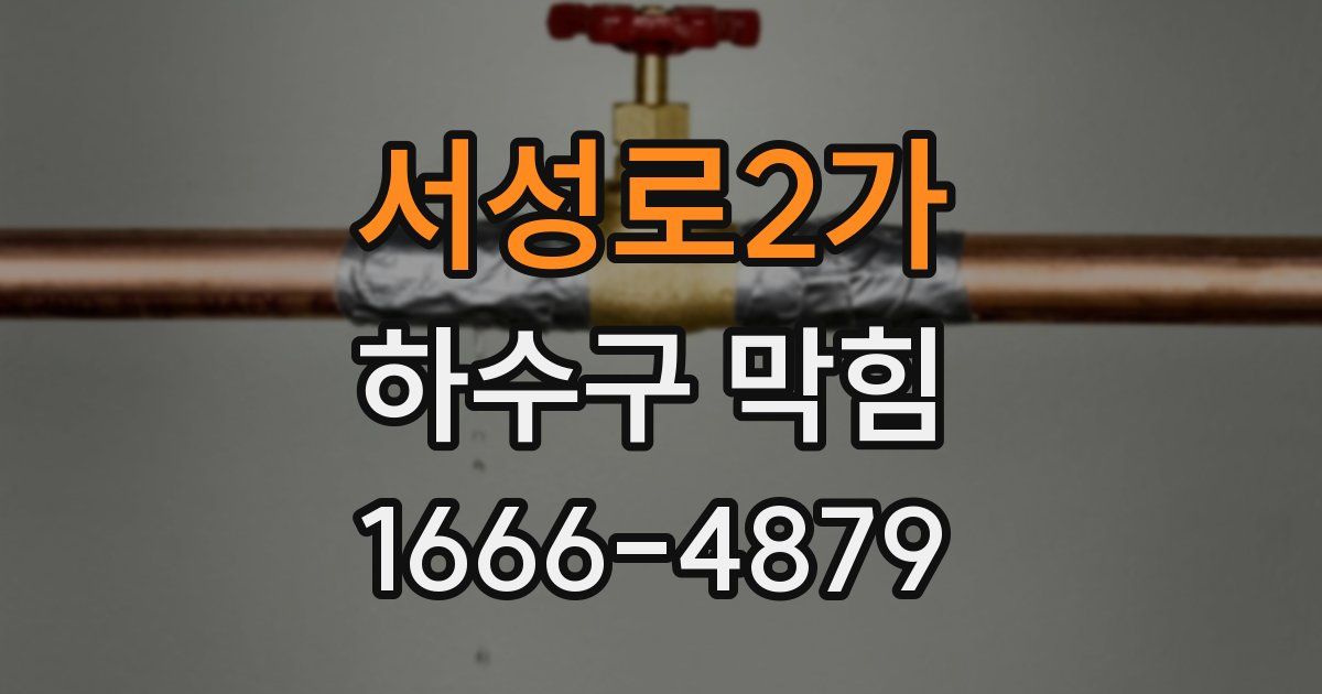 서성로2가 하수구 막힘