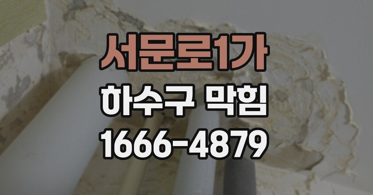 서문로1가 하수구 막힘