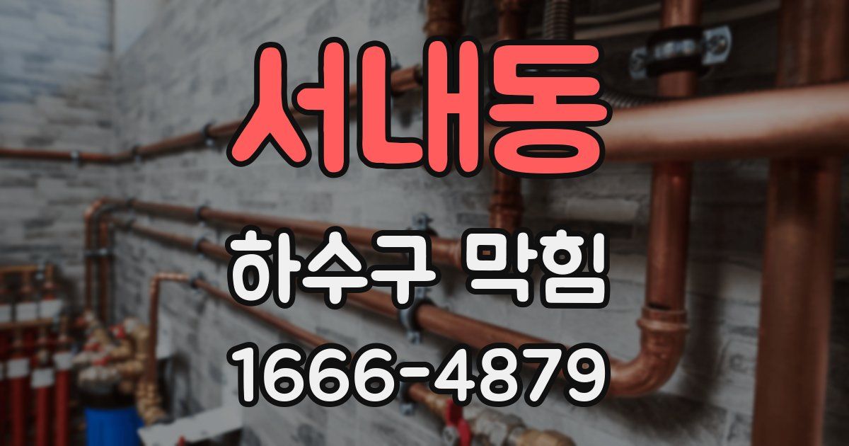 서내동 하수구 막힘