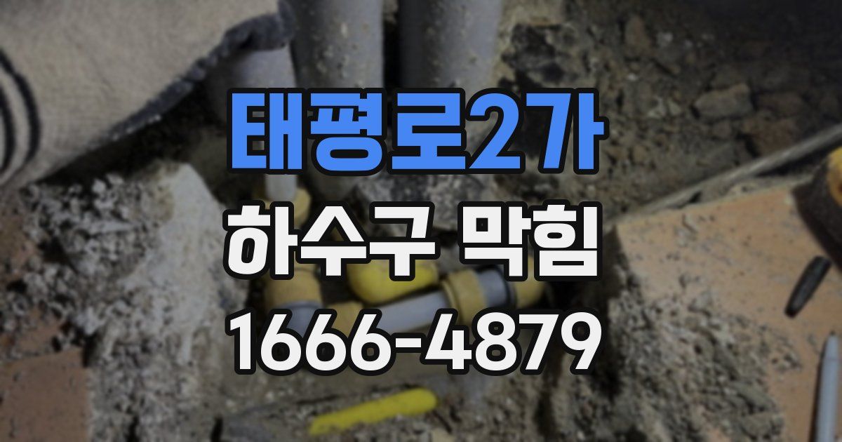태평로2가 하수구 막힘