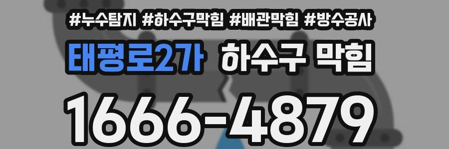 태평로2가 하수구 막힘