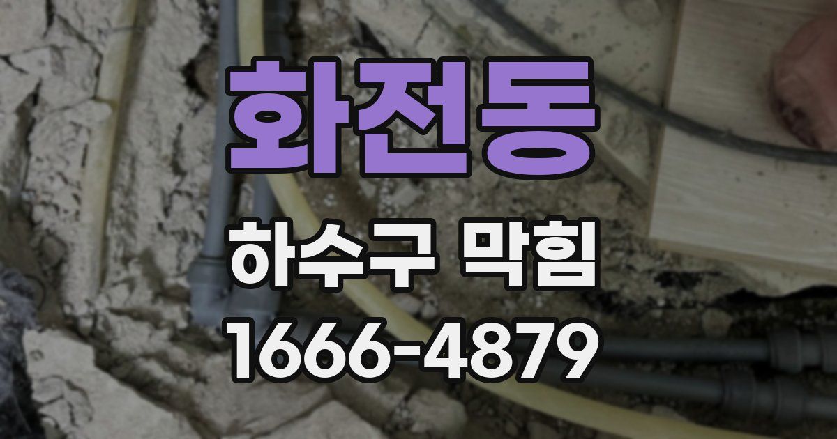 화전동 하수구 막힘