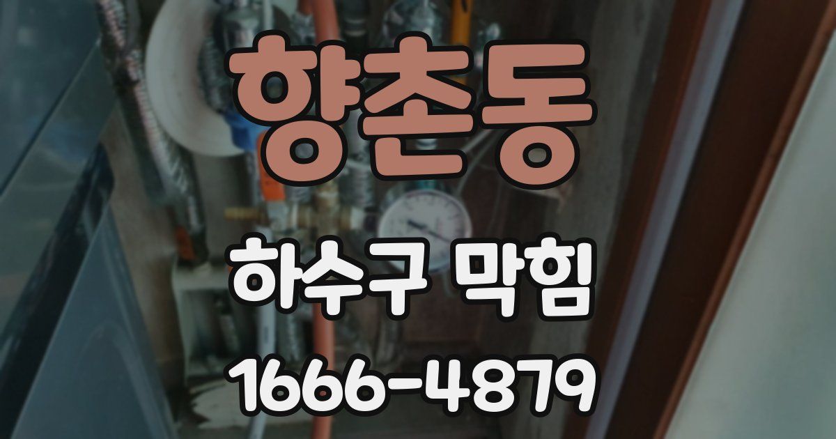 향촌동 하수구 막힘