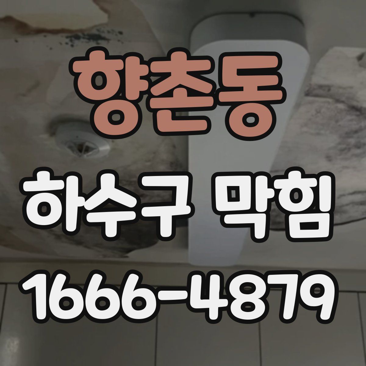 향촌동 하수구 막힘