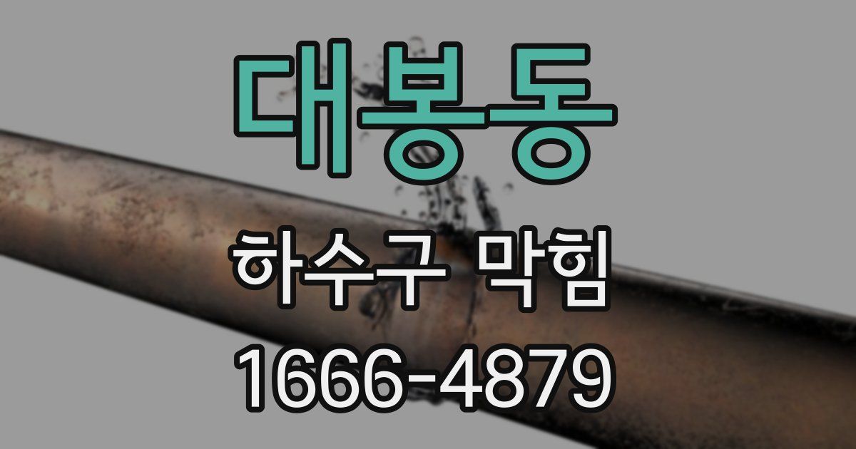 대봉동 하수구 막힘
