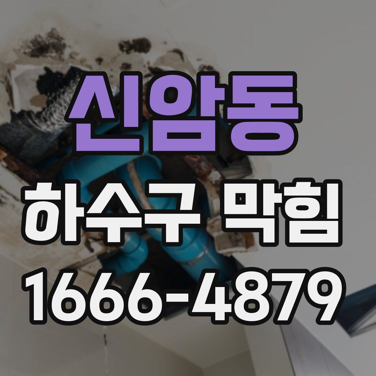 신암동 하수구 막힘