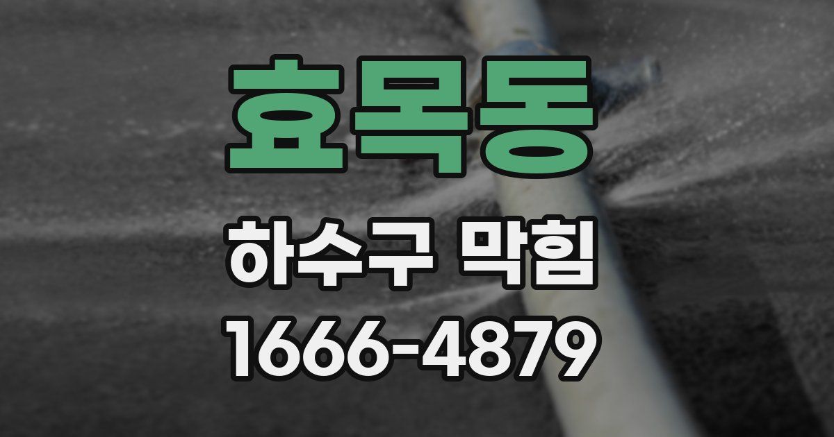 효목동 하수구 막힘