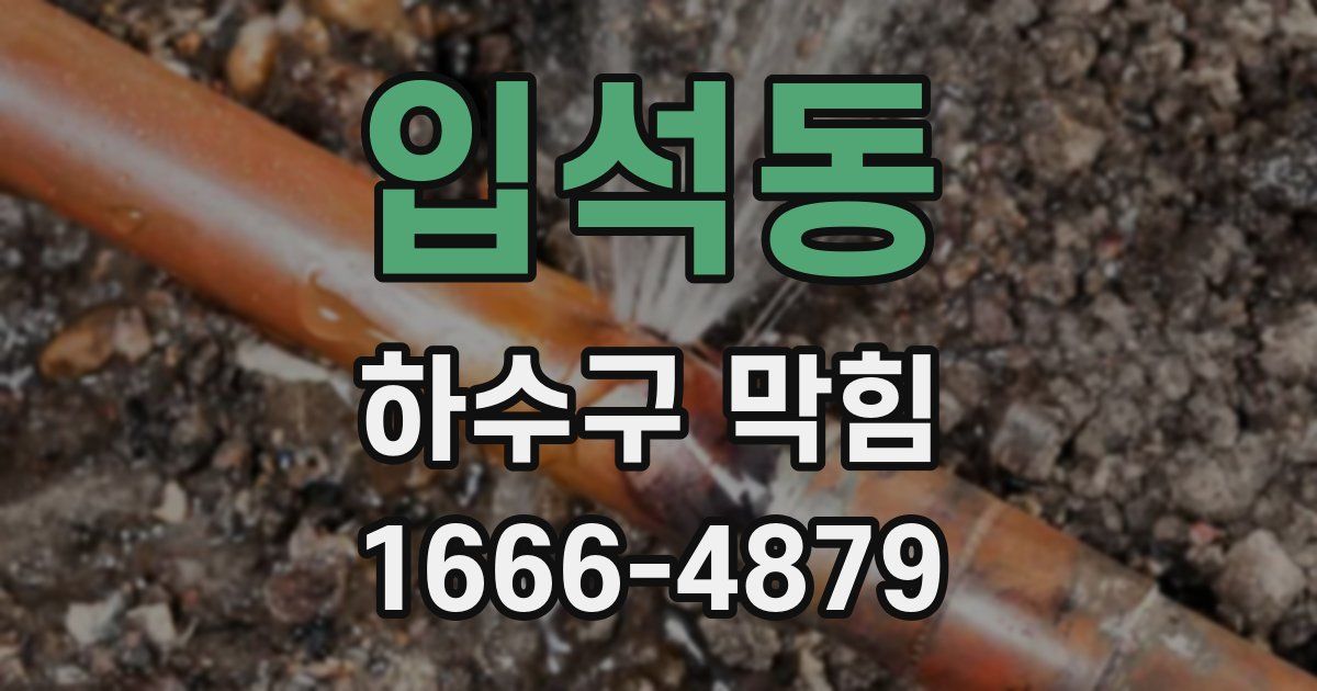 입석동 하수구 막힘