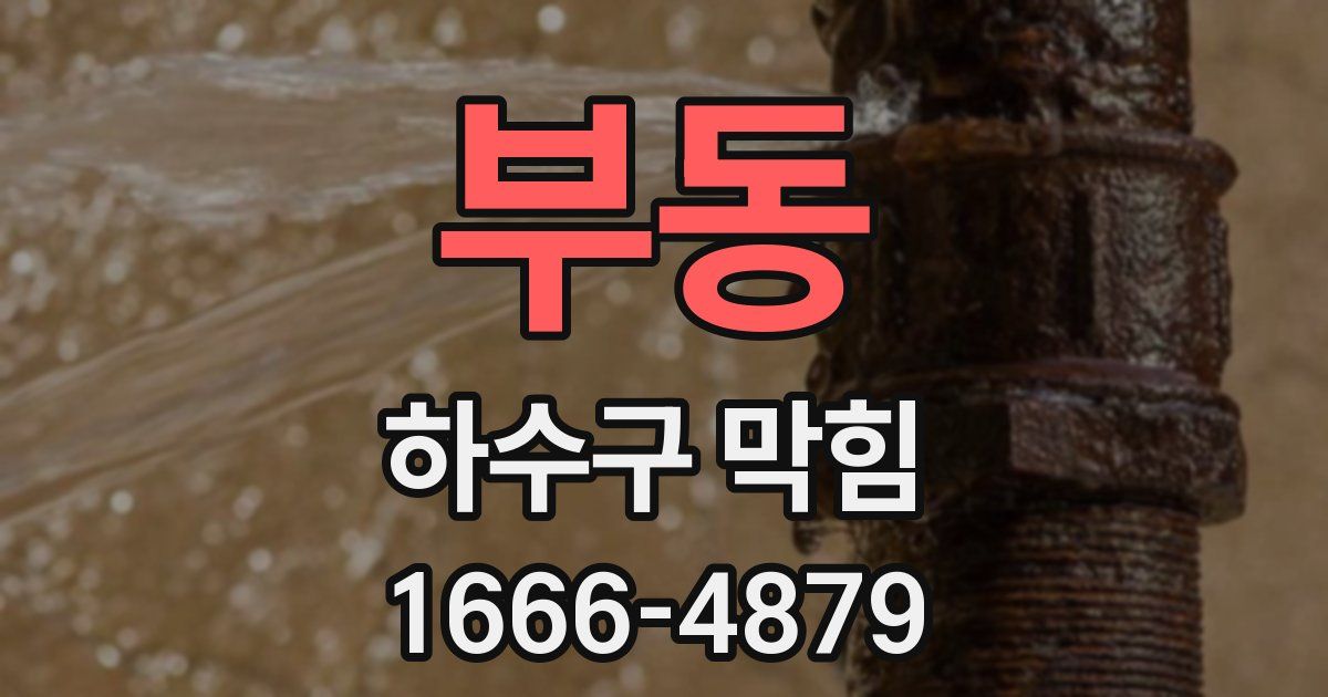부동 하수구 막힘