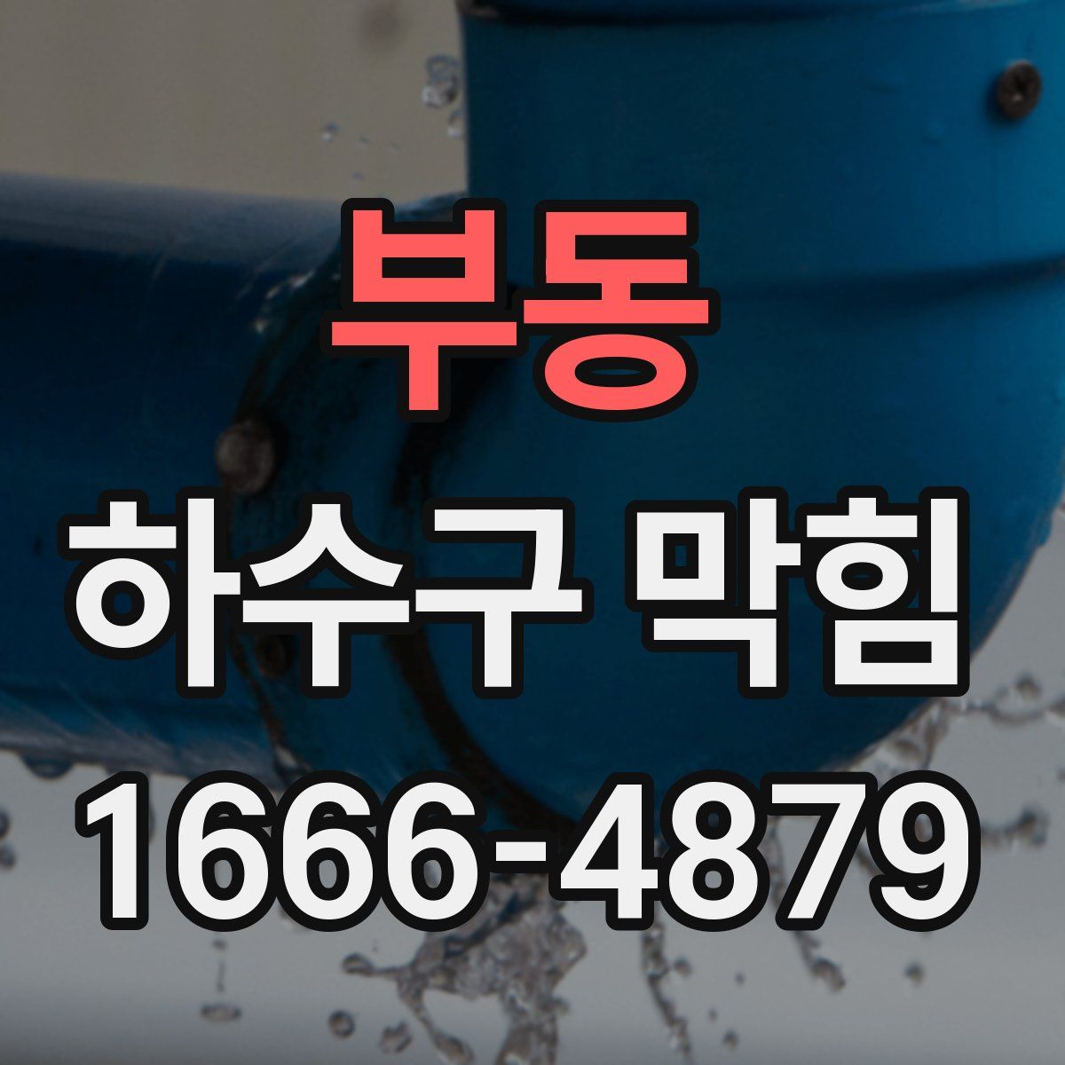 부동 하수구 막힘