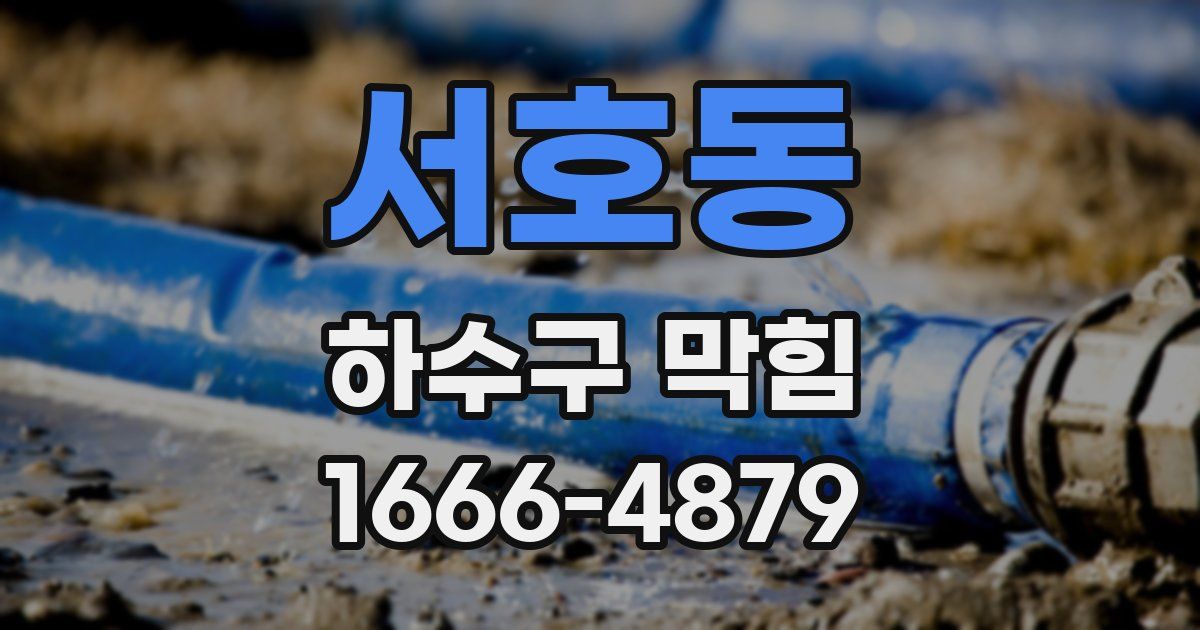 서호동 하수구 막힘