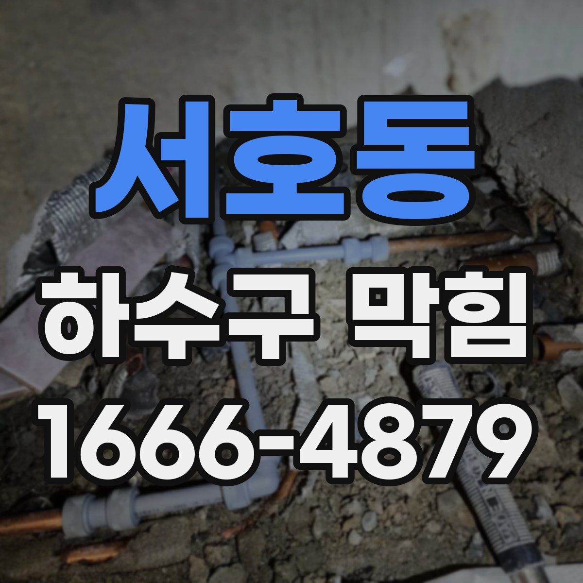 서호동 하수구 막힘