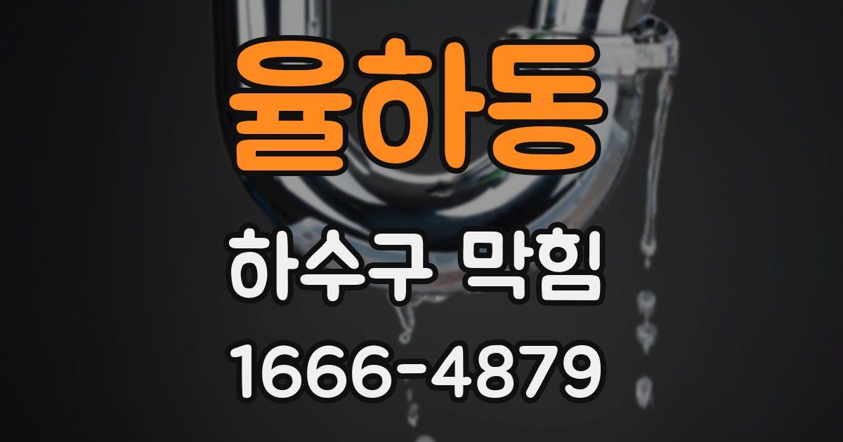 율하동 하수구 막힘