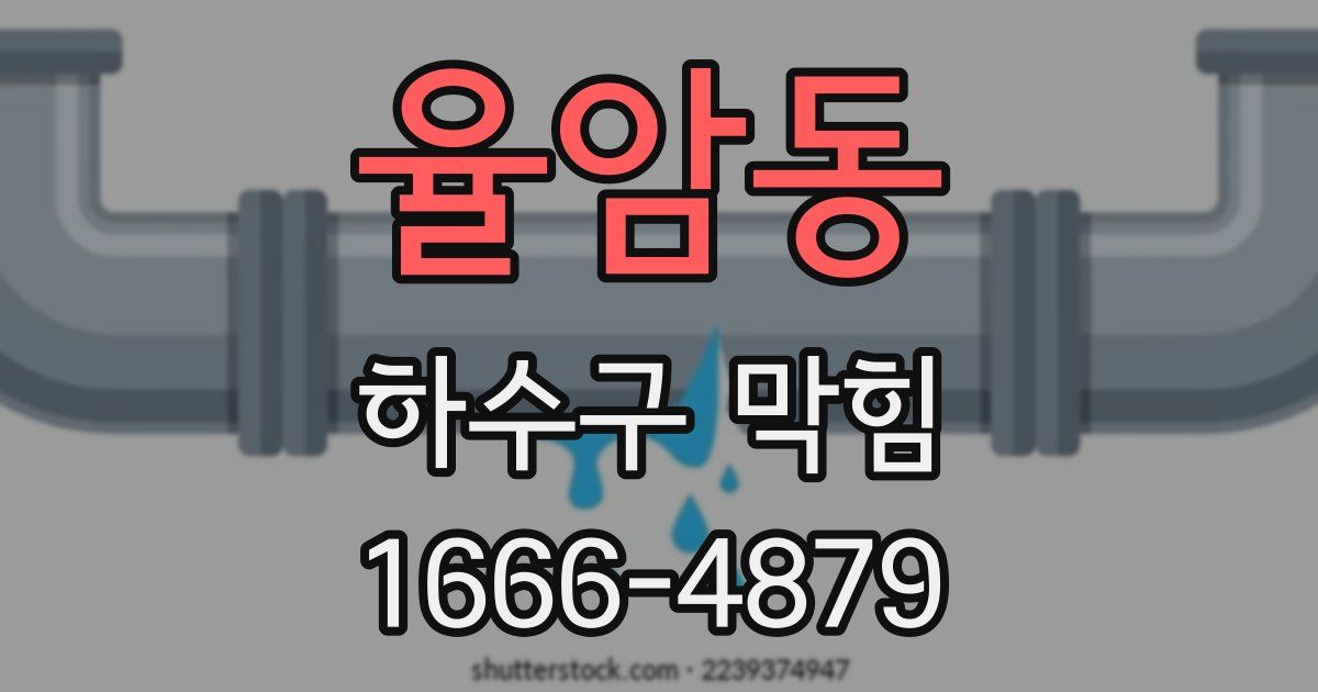 율암동 하수구 막힘