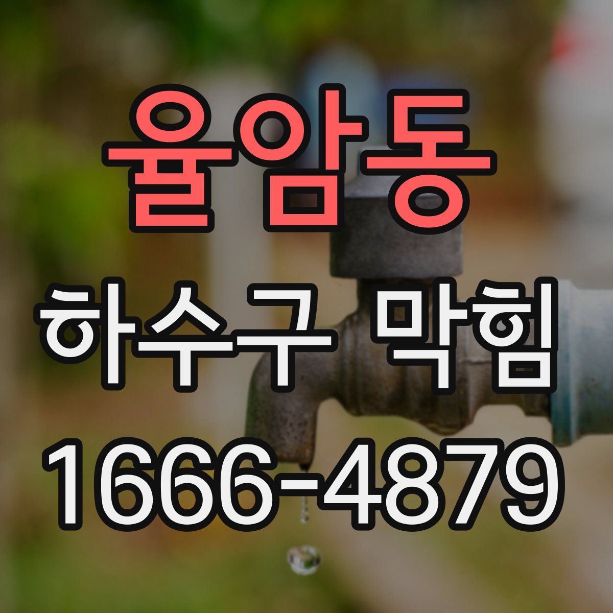 율암동 하수구 막힘