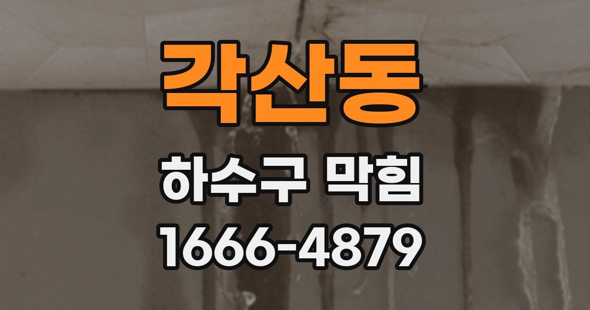 각산동 하수구 막힘