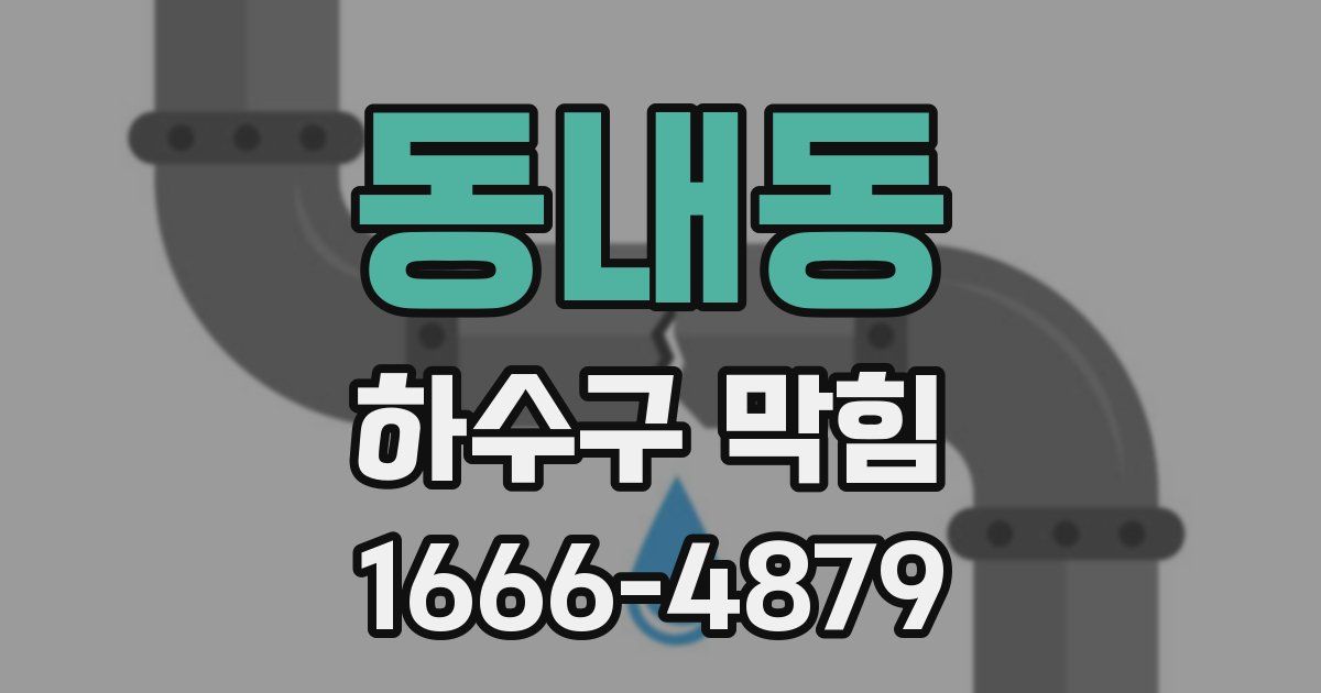 동내동 하수구 막힘