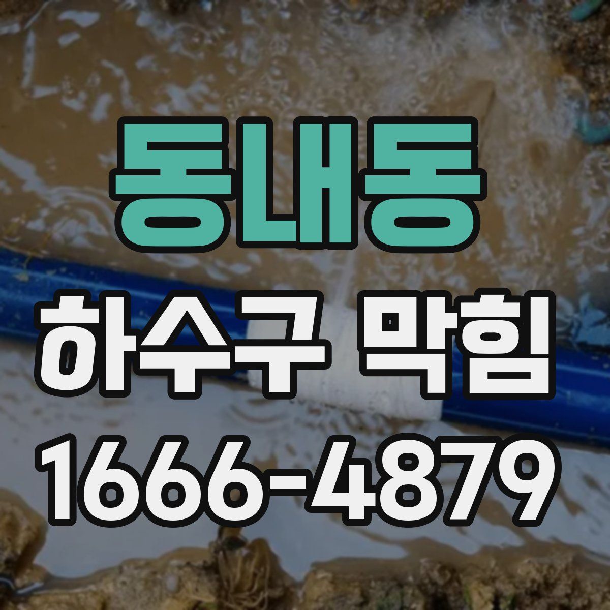 동내동 하수구 막힘