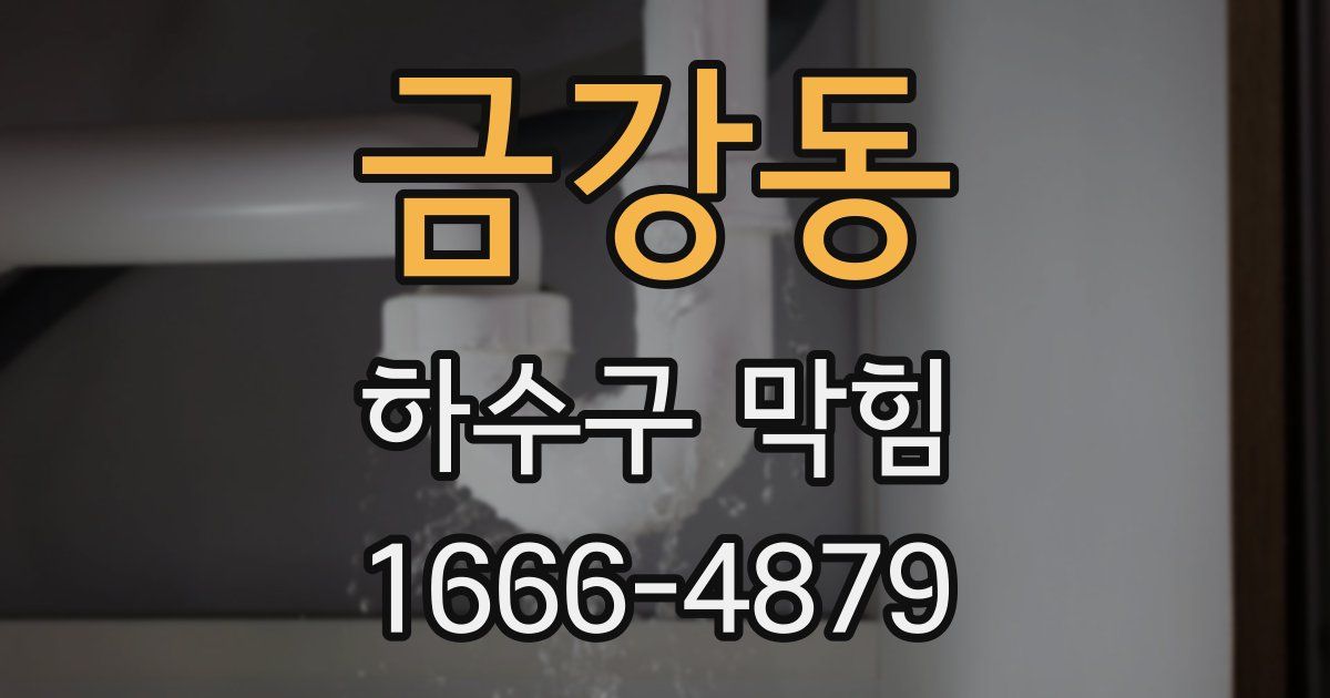 금강동 하수구 막힘