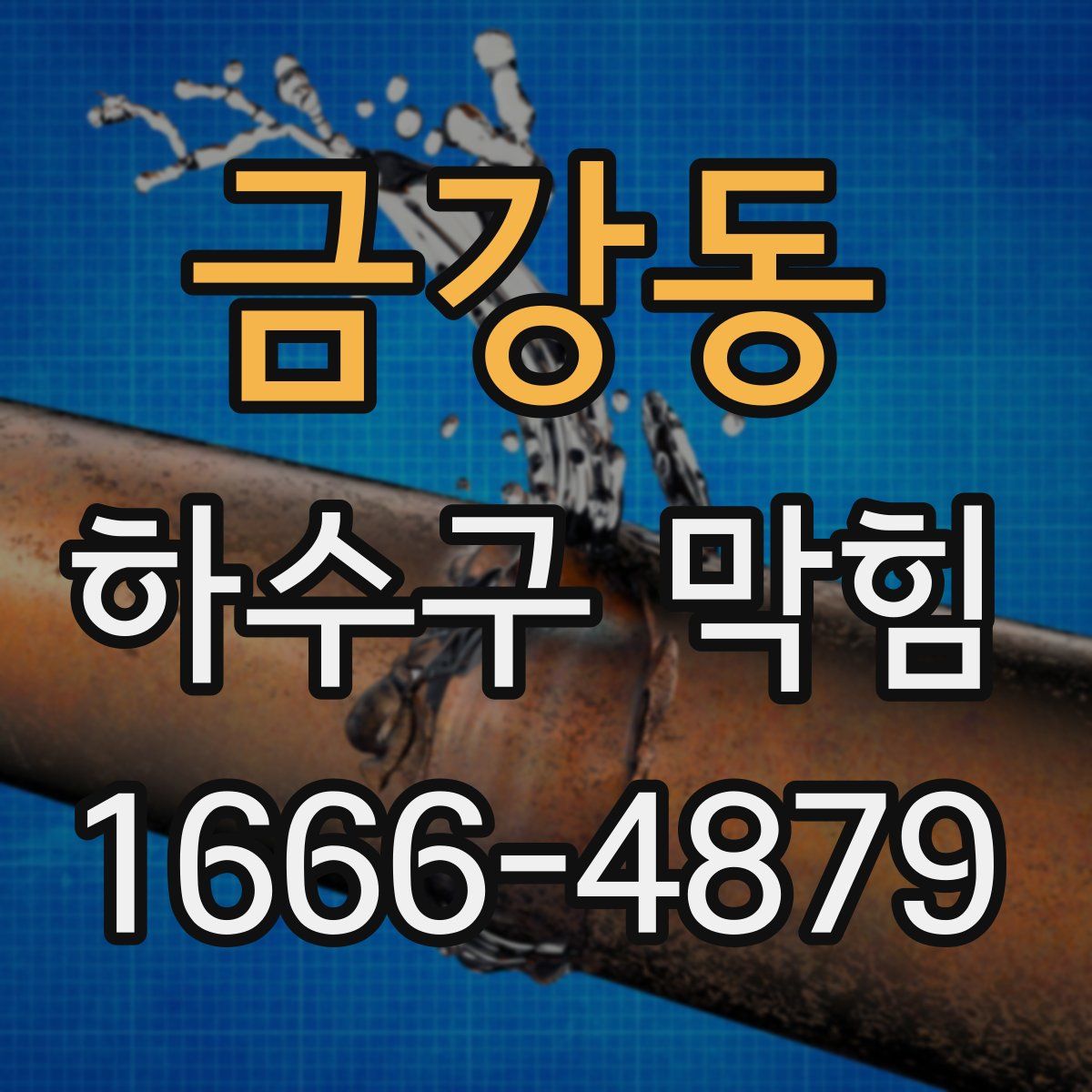 금강동 하수구 막힘