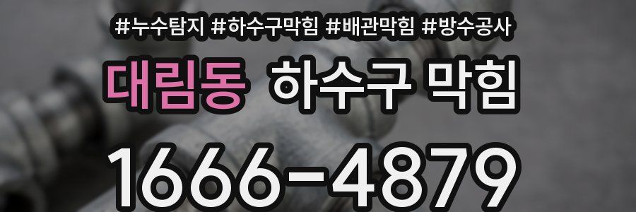 대림동 하수구 막힘