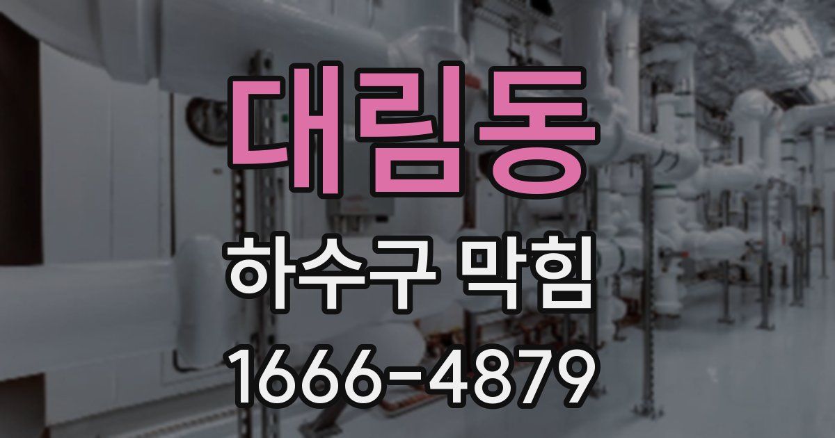 대림동 하수구 막힘