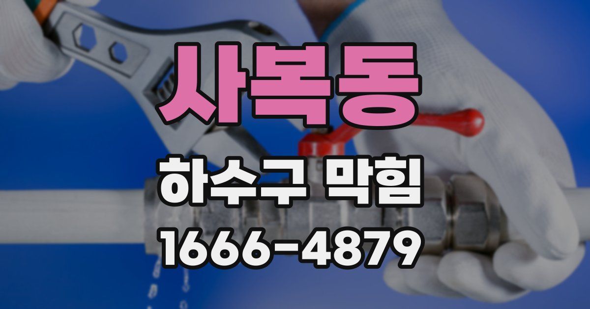 사복동 하수구 막힘