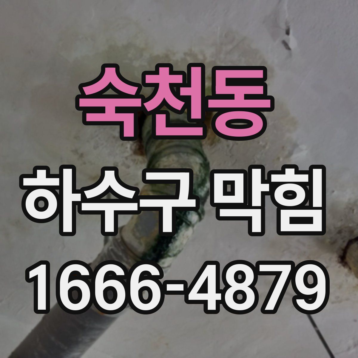 숙천동 하수구 막힘