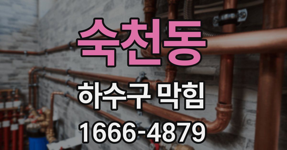 숙천동 하수구 막힘