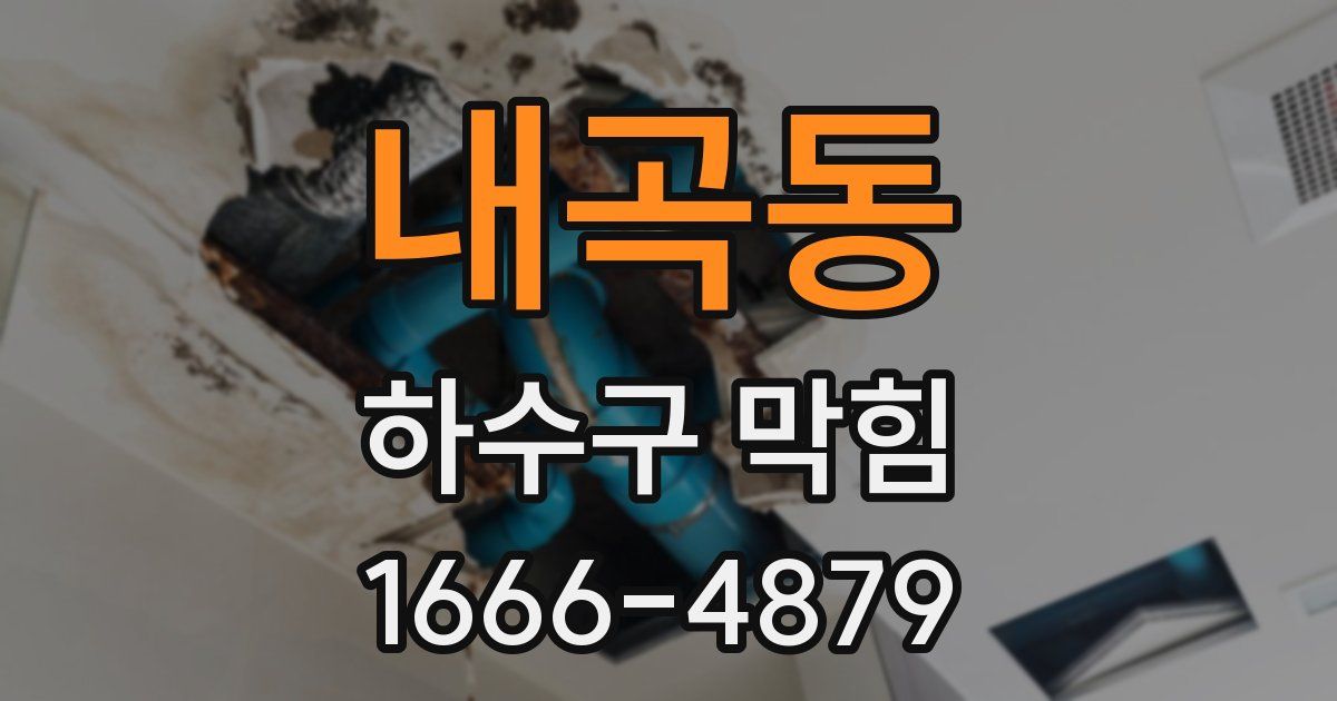 내곡동 하수구 막힘