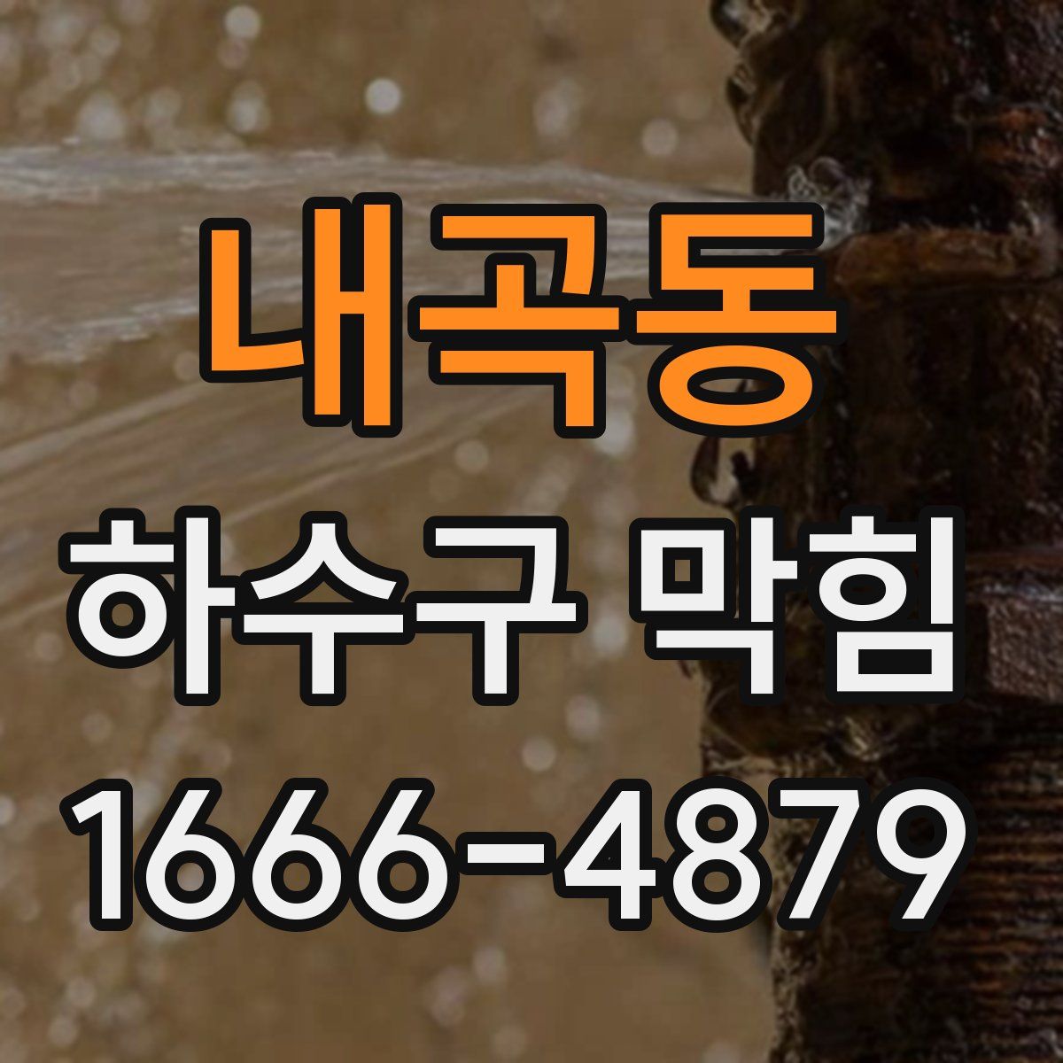내곡동 하수구 막힘