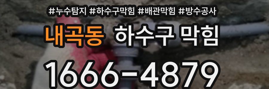 내곡동 하수구 막힘